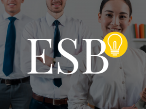 ESB logo on a grey out overlay